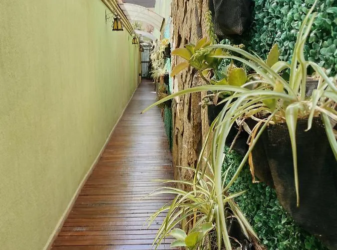 Loft Garden\'S